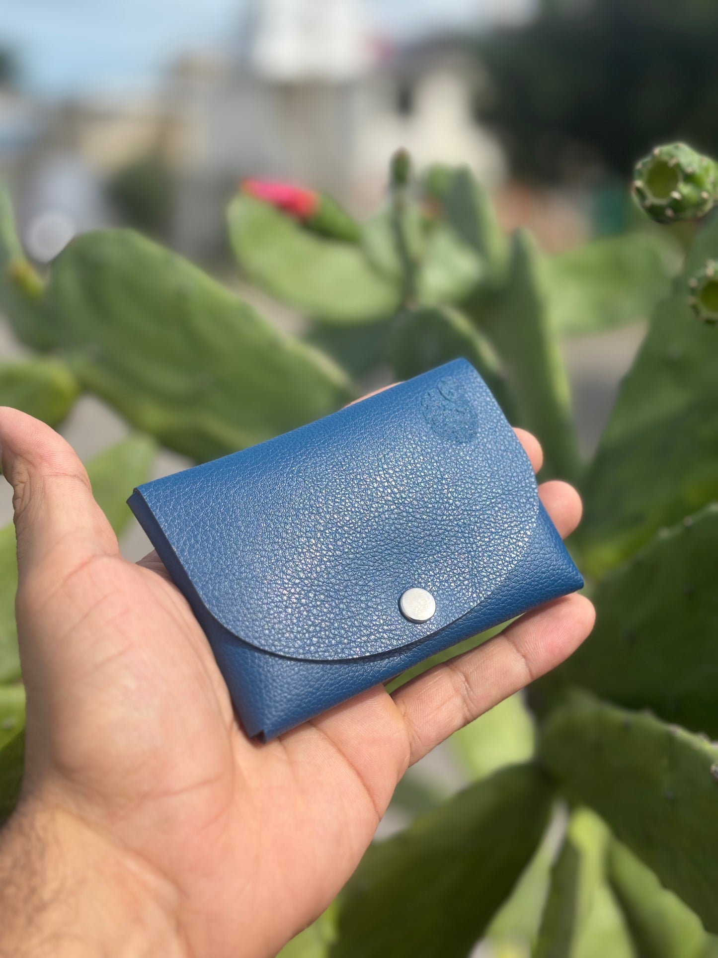Cartera Redonda